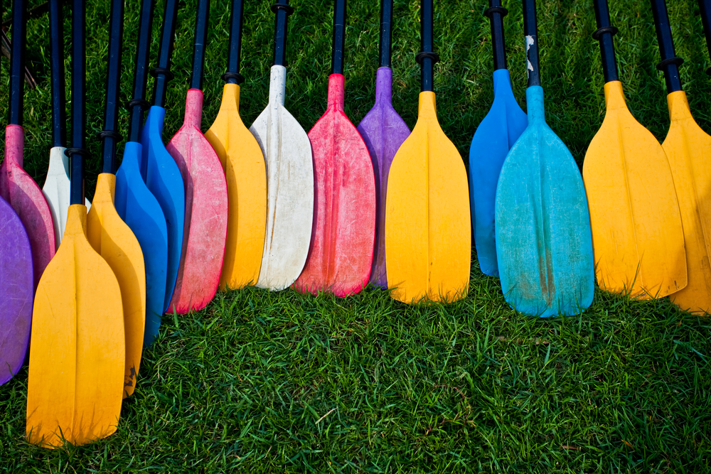 Kayak Paddles