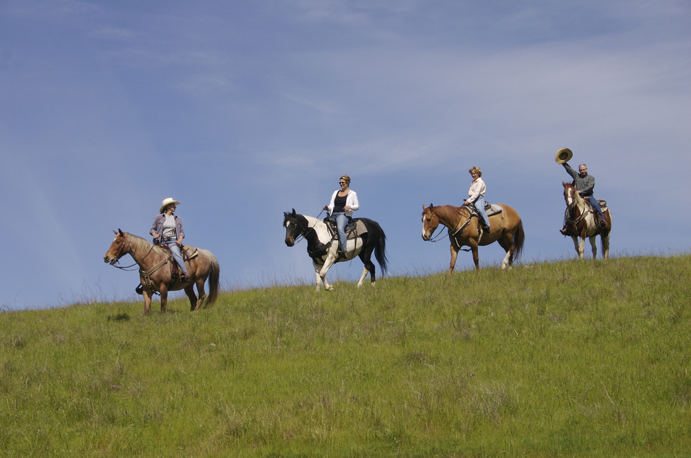 Grapevine Equestrian Tours