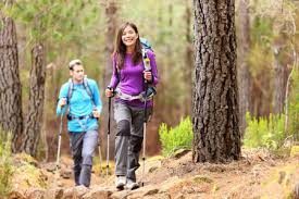 Guided Hiking Tours