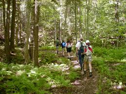 Guided Hiking Tours